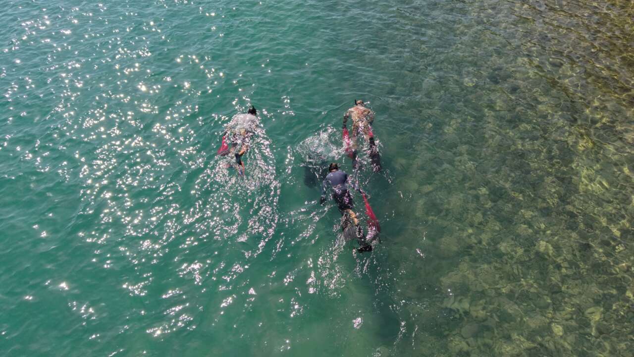 Bodrum’da Deniz Dibinden 75 Kilogram Atık Çıkarıldı 1